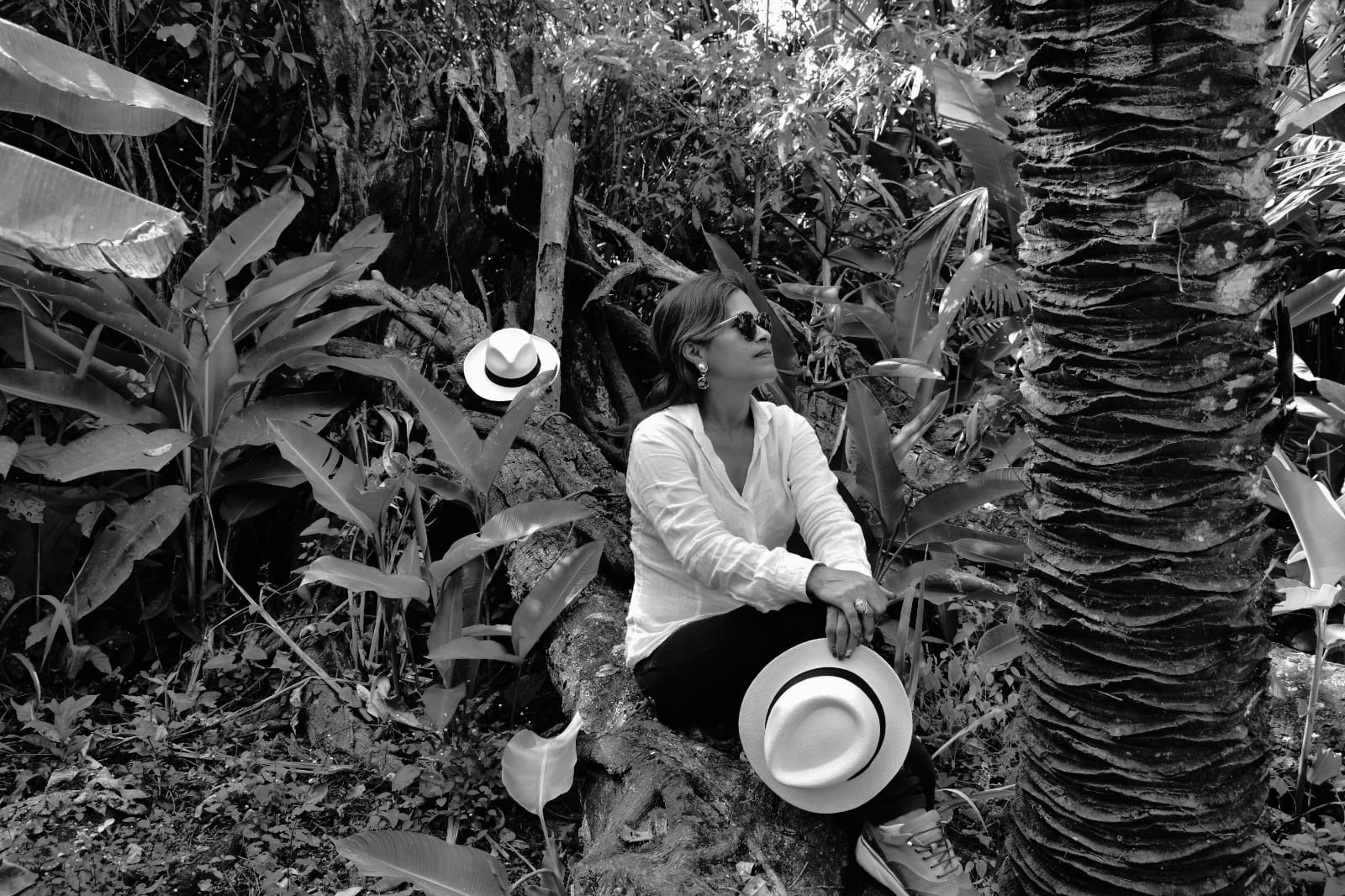 Tradition et style Panama