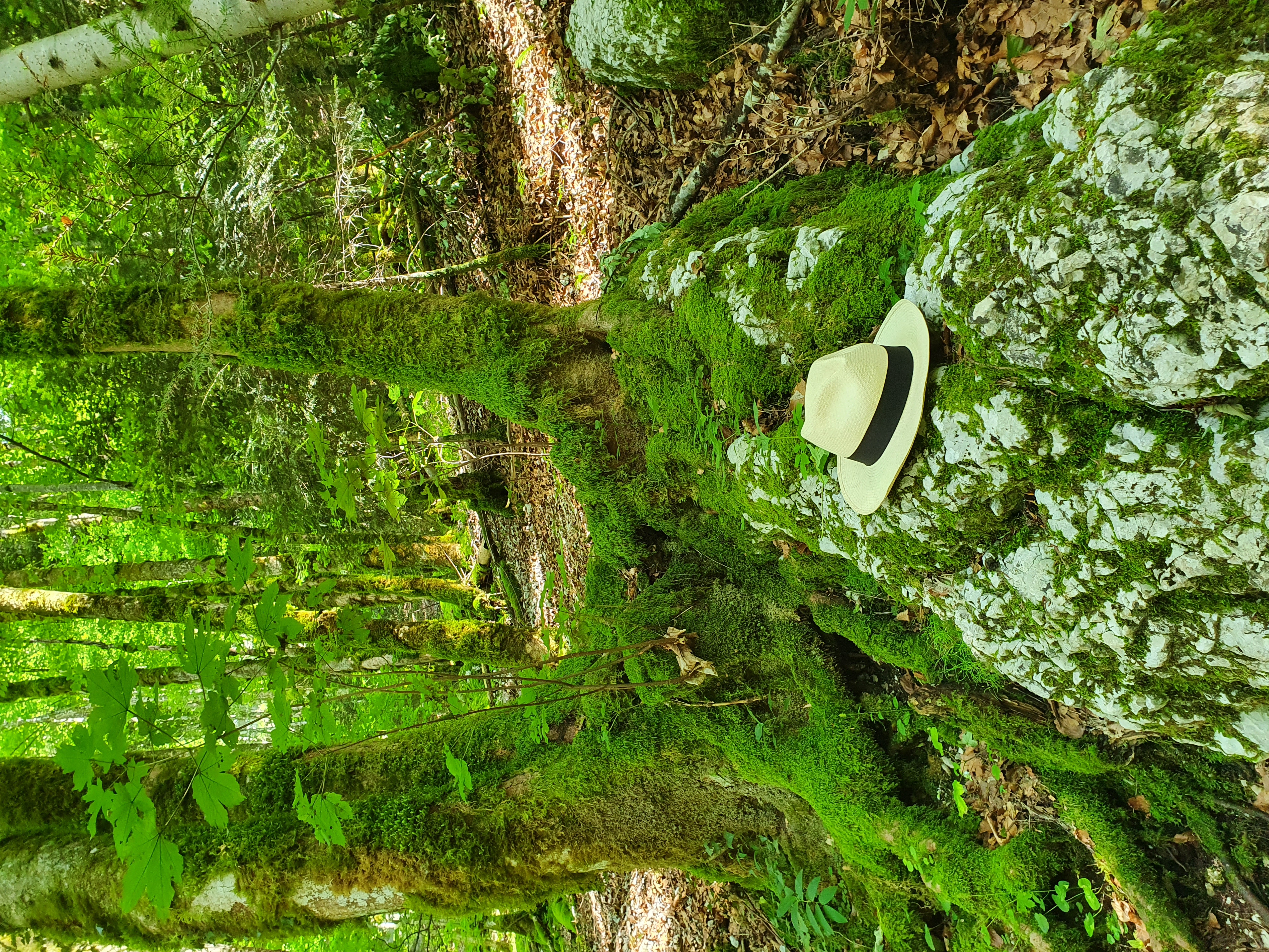 Processus de fabrication du chapeau Panama